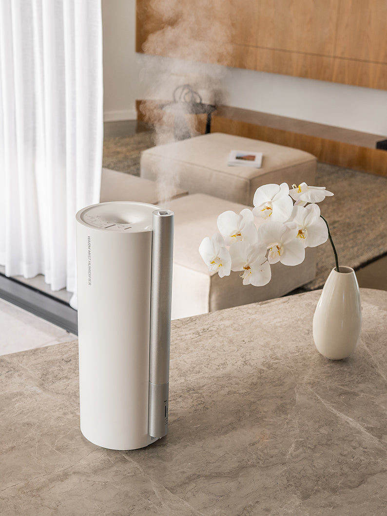 Mist Aura Humidifier